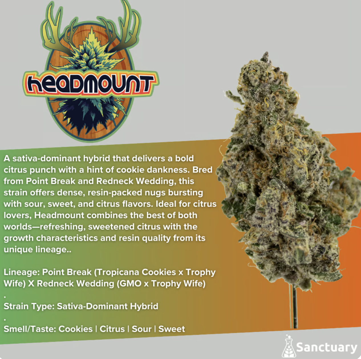 Photograph of product: Headmount (S) - 1g