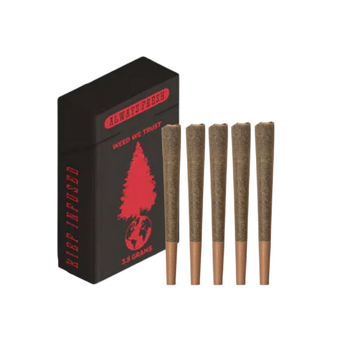 Photograph of product: Big Tree | Biscotti Cobbler | 5pk. Blunt Preroll | 5G |