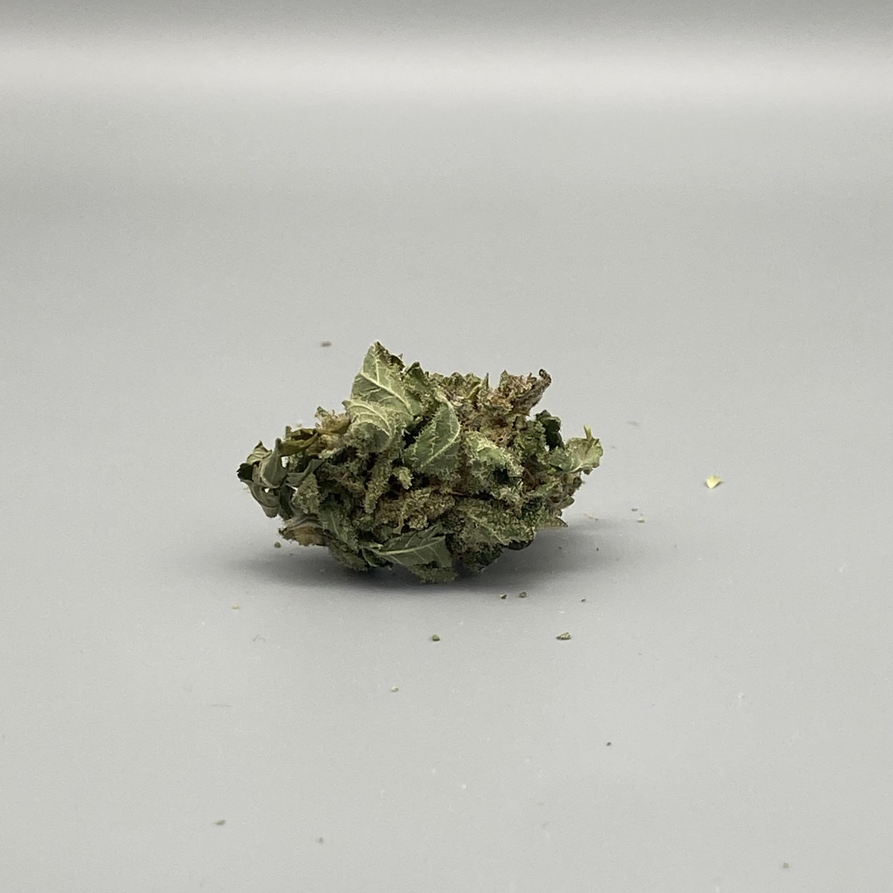 Photograph of product: Purple Berry Kush - Aurora Blaze