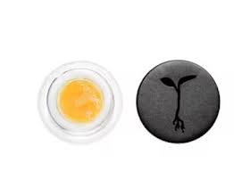 Photograph of product: Raw Garden Apple Fritter #74 1g LR Badder