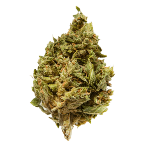 Photograph of product: LUCINDA WILLIAMS | HYBRID | 3.5G