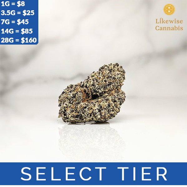 Photograph of product: HOLLYWOOD LEMON CHERRY GELATO - 14g