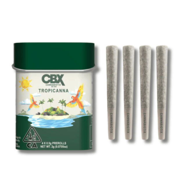 Photograph of product: Tropicanna 4pk Prerolls - 