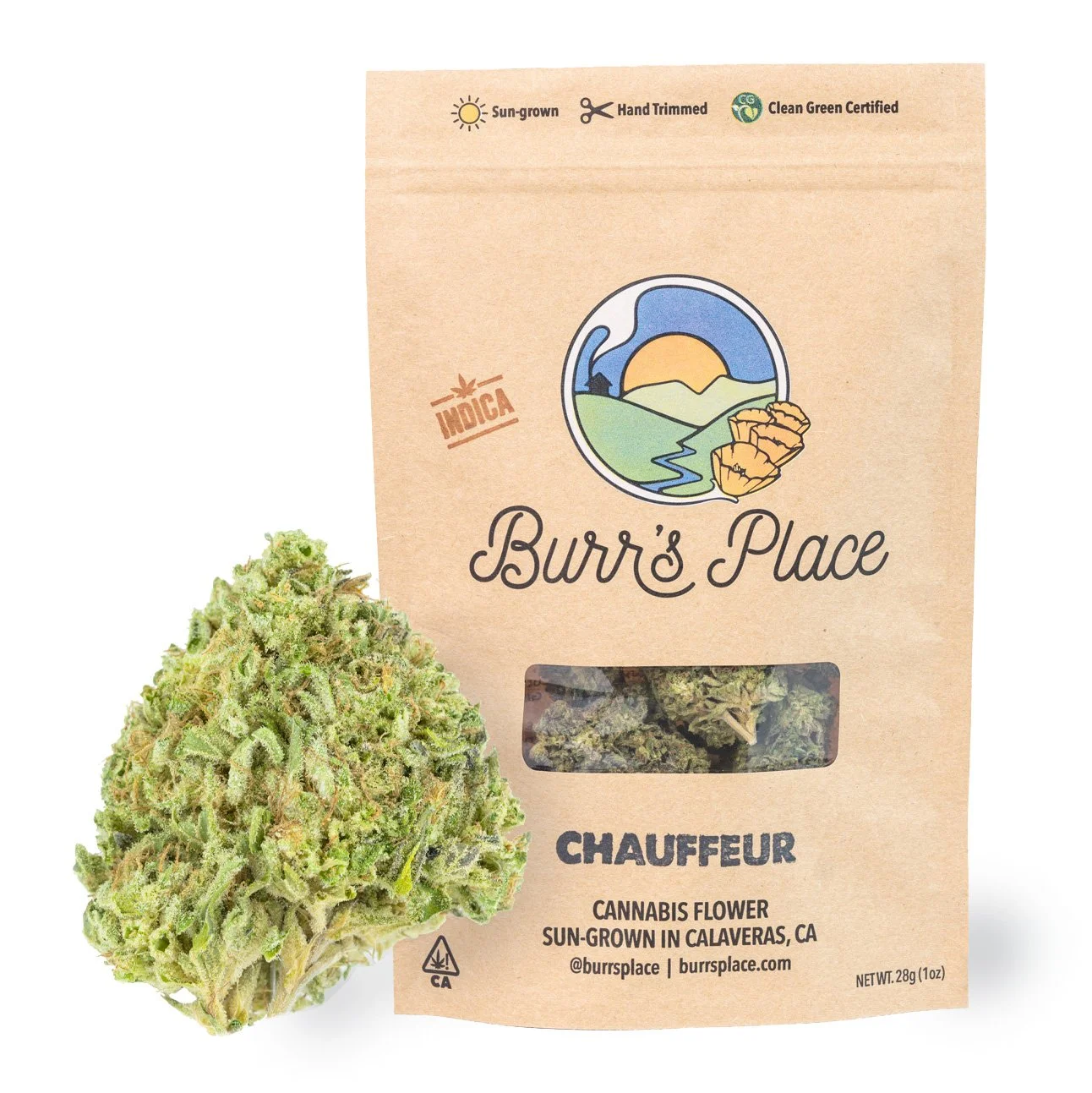 Photograph of product: Chauffeur (I) | 28g Sungrown Flower