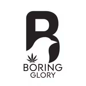 Photograph of product: Boring Glory | Colorado Nightshifter - Flower - 28g