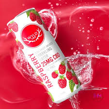 Photograph of product: Raspberry CBD Water