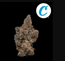 Photograph of product: [REC] Cookies | Blue Agave | 7g littles
