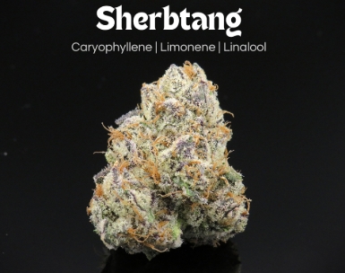 Photograph of product: Sherbtang | 14.15g