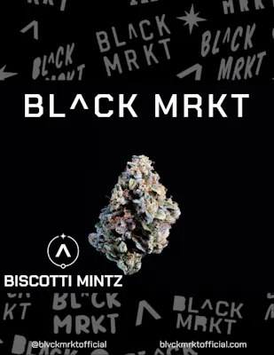 Photograph of product: BL^CK MRKT Pre-Pack - Biscotti Mintz - 3.5g