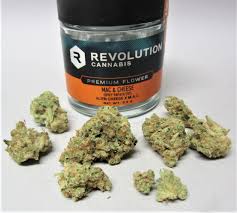Photograph of product: MAC AND CHEESE 3.5G FLOWER