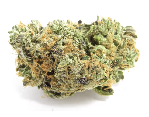Photograph of product: Gelato Pop - Buds - 3.5g