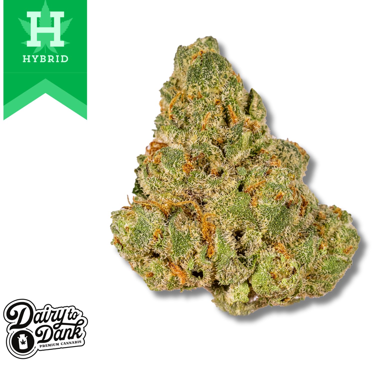 Photograph of product: D2D | Flower | Pre-Pack  | 1pk | Paradise Pine (HYB) | Bigs - 14g