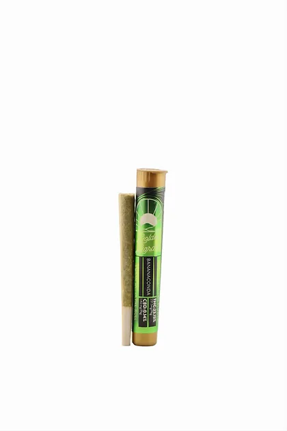 Photograph of product: Golden Garden - BananaConda - 1g Preroll