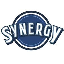Logo for Brand SYNERGY