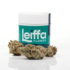 Photograph of product: (MED) GUMMIES - BULK