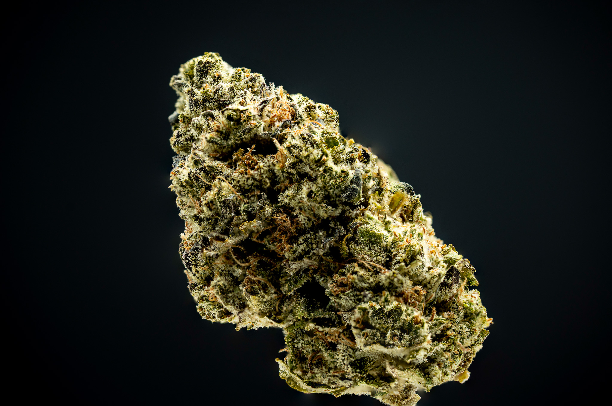 Photograph of product: Bananaconda #4 1g - Landrace Oui'd Co.