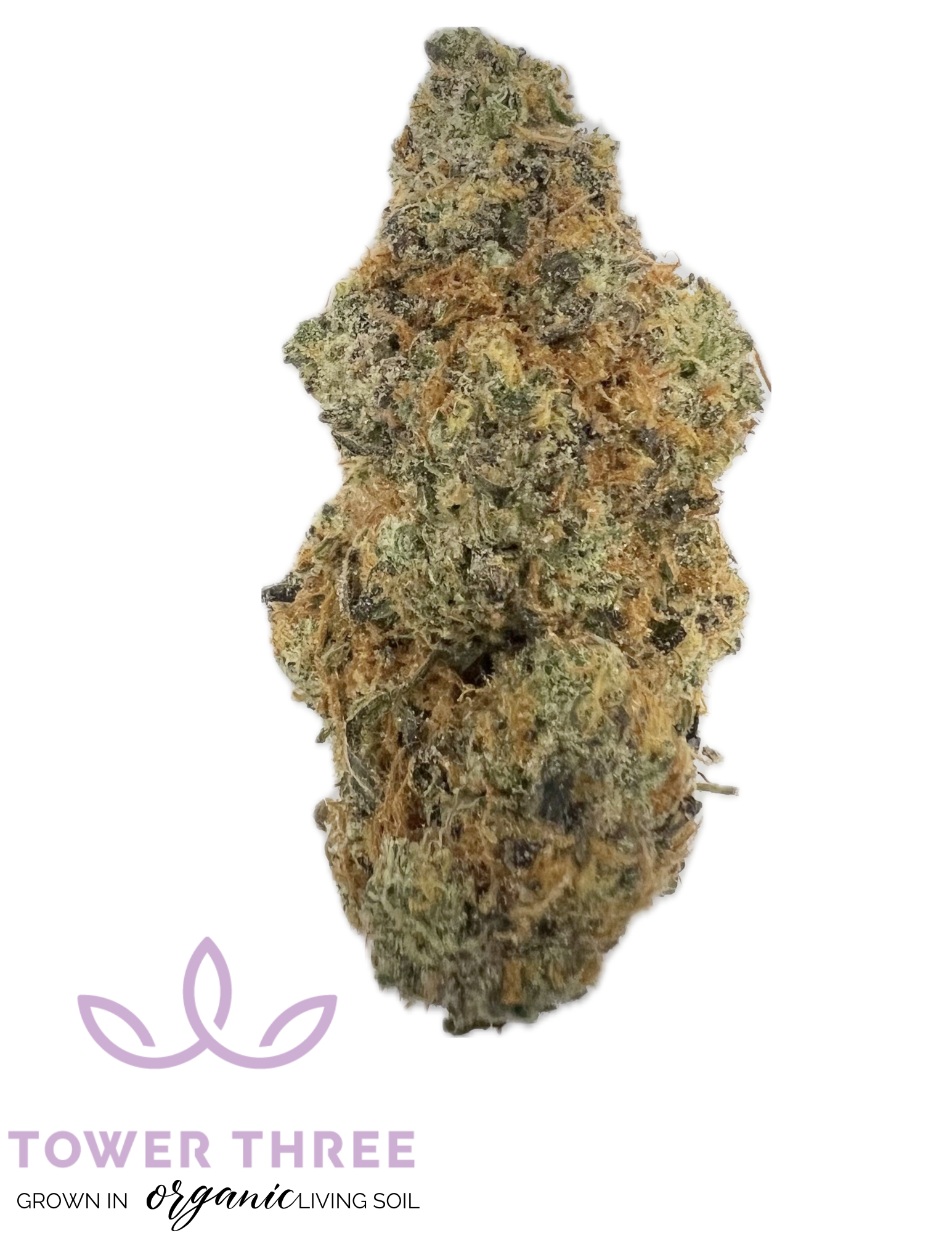 Photograph of product: Chile Verde | 1g Pre-Roll | Tower Three