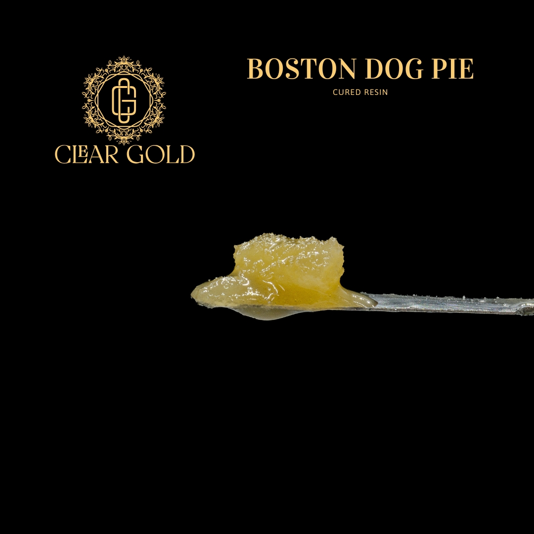 Photograph of product: Boston Dog Pie | Cured Resin | 1g | By Clear Gold