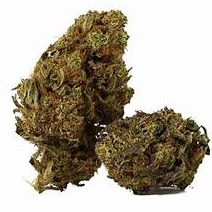 Photograph of product: Bigfoot Glue 1/2 - 14g