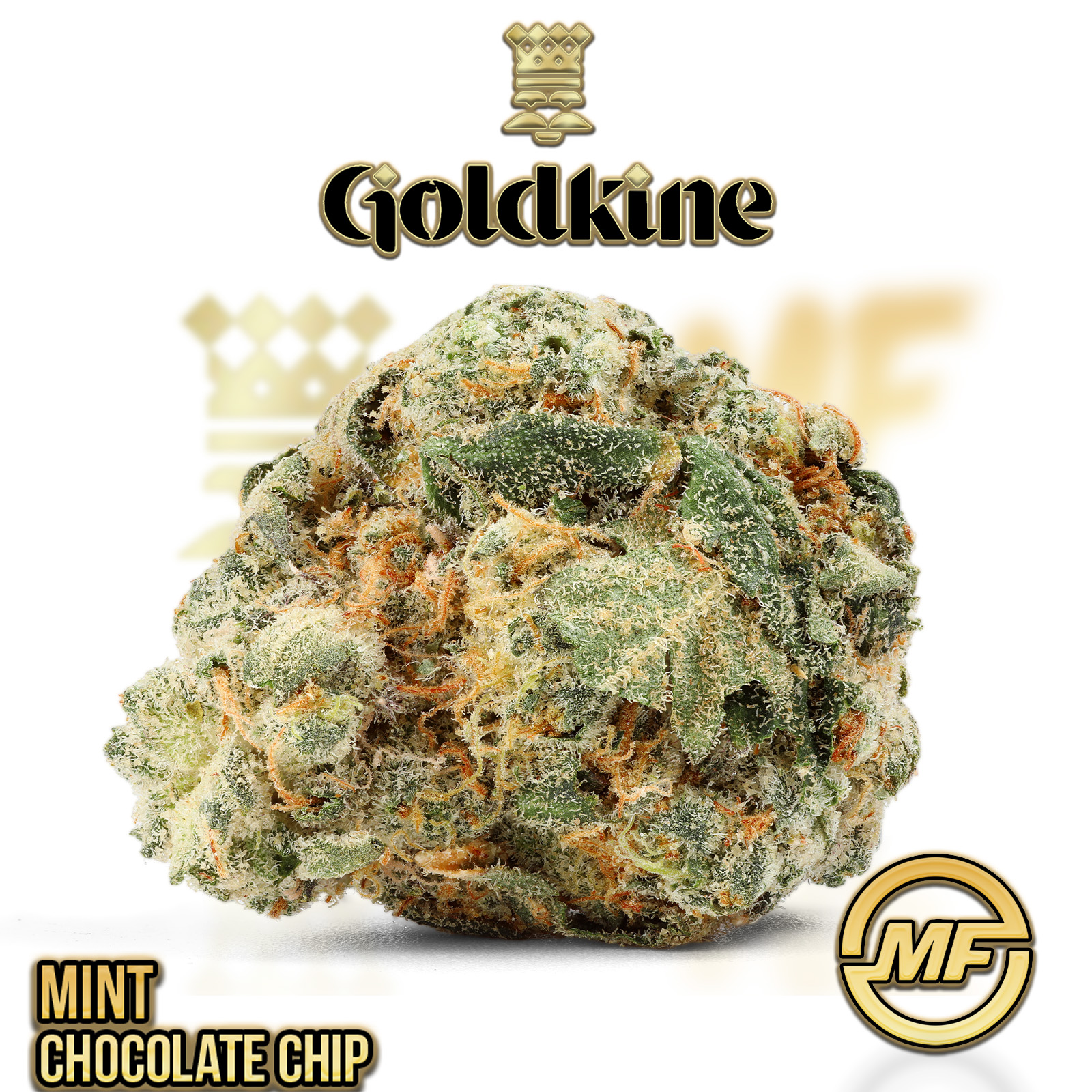 Photograph of product: Goldkine | Mint Chocolate Chip - 28g