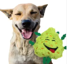 Photograph of product: Dog Toy - Medium - PAW:20