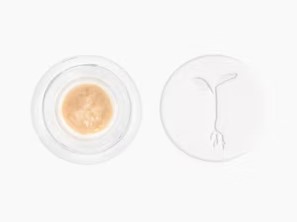 Photograph of product: Raw Garden OG Kush Live Rosin