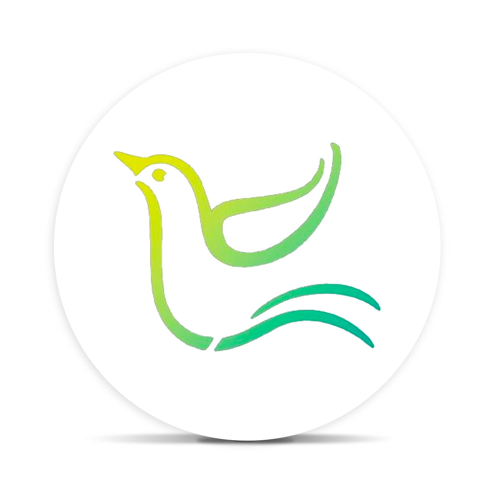 Logo for img-fluid: NATURE'S GRACE AND WELLNESS