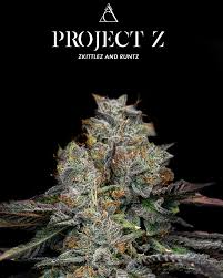 Photograph of product: Society C Project Z - 28g