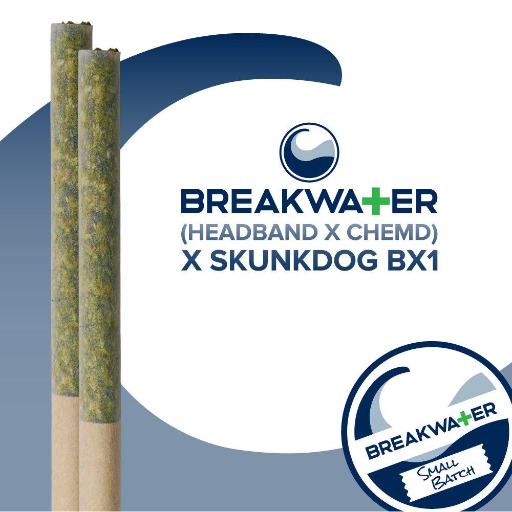 Photograph of product: (Headband x ChemD) x Skunkdog Bx1 Premium Rolled Joints (2pk)