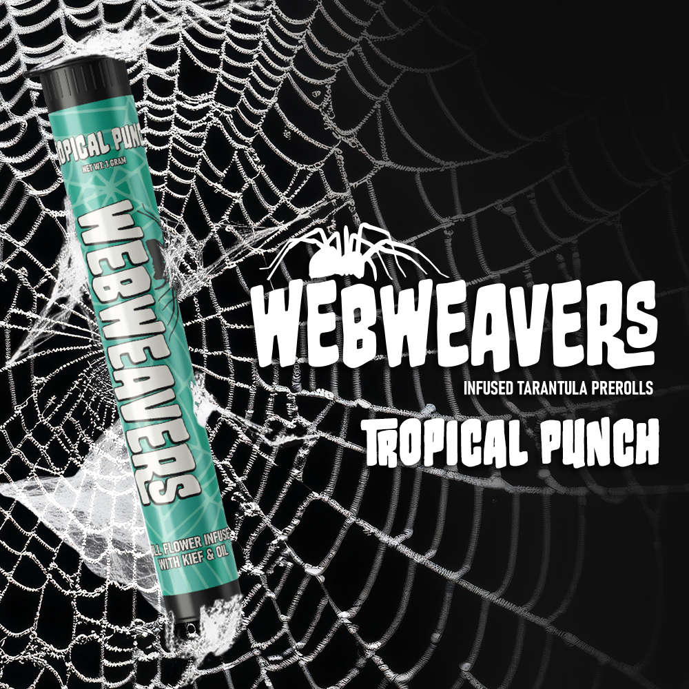 Photograph of product: Mother Nature's Labs | Tropical Punch Infused Tarantula Webweaver