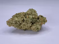 Photograph of product: IceCreamSocial-Flower|Hybrid|CE - 3.5g