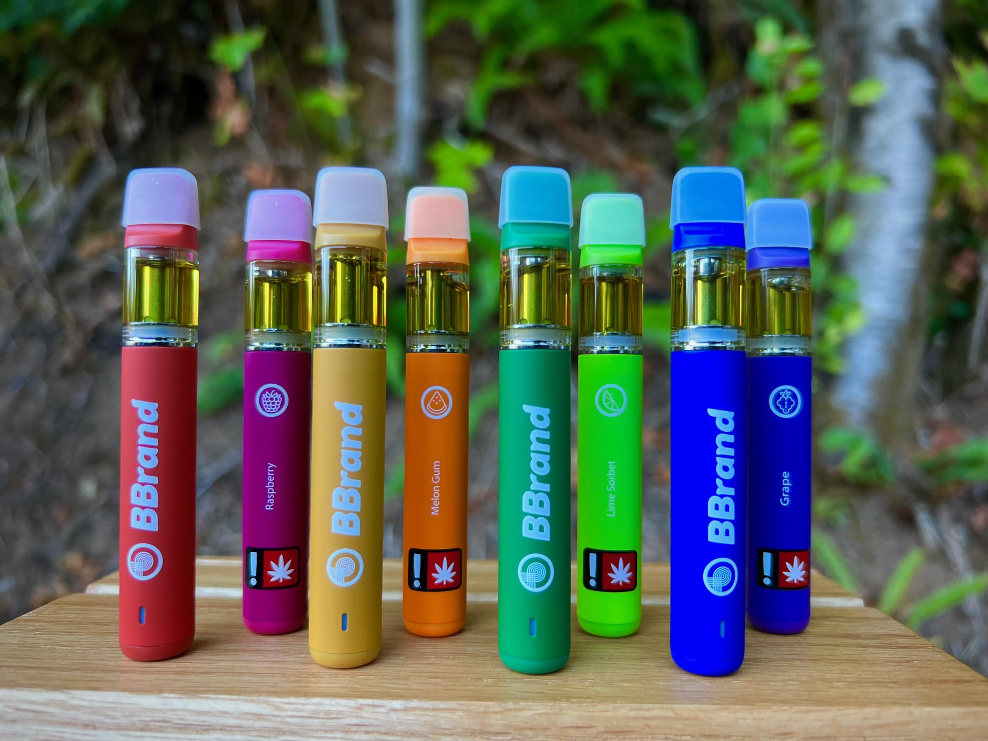 Photograph of product: Vape AiO 1g Lime Sorbet (Buddies)
