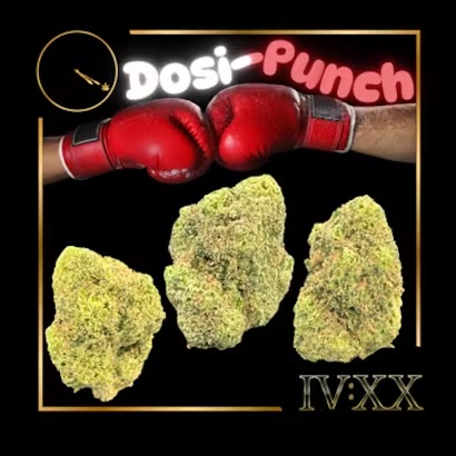 Photograph of Product: Dosi Punch: Flower - 3.5g