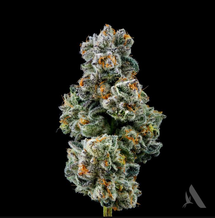 Photograph of Product: Capy Flower Mini T28.79 (9-00562) - 3.5g