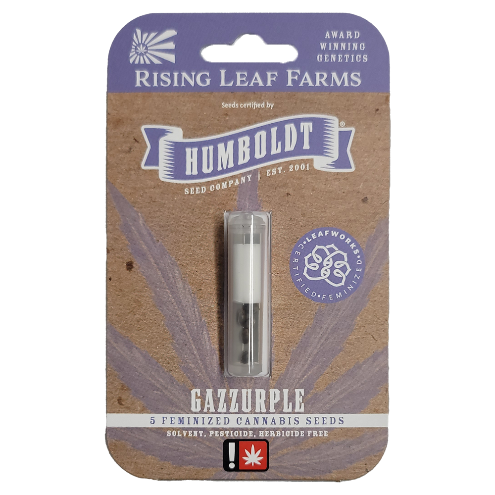 Photograph of product: Humboldt Feminized Gazzurple 5 Pack Seeds