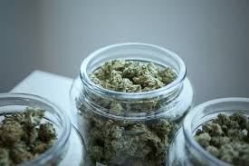 Photograph of product: Fugu Farms Super Boof Flower Hybrid 3.5g