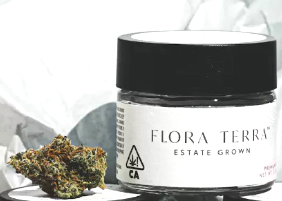 Photograph of product: Mango Mintz - 3.5g