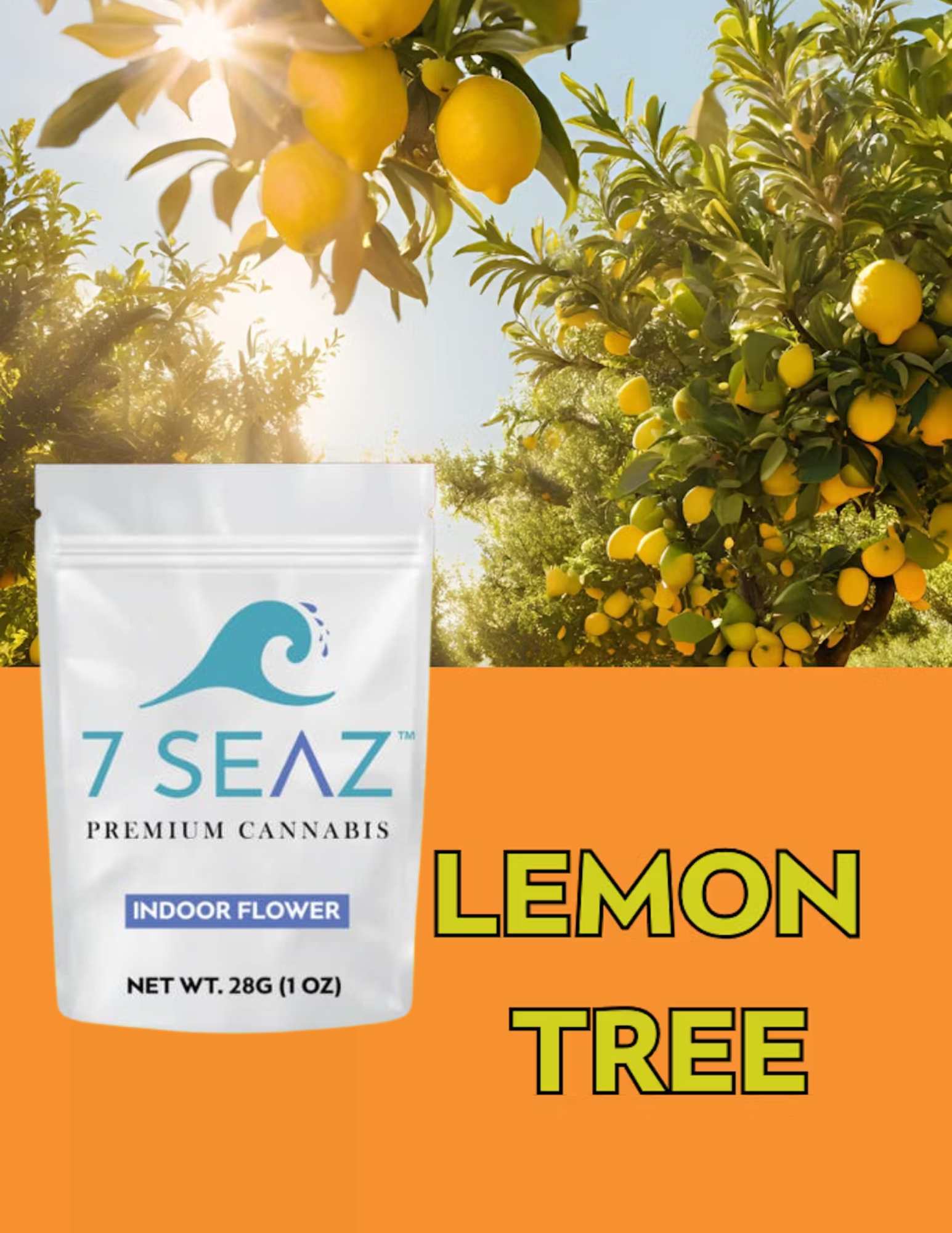 Photograph of product: 7 Seaz | 28g | Indoor Flower | Lemon Tree