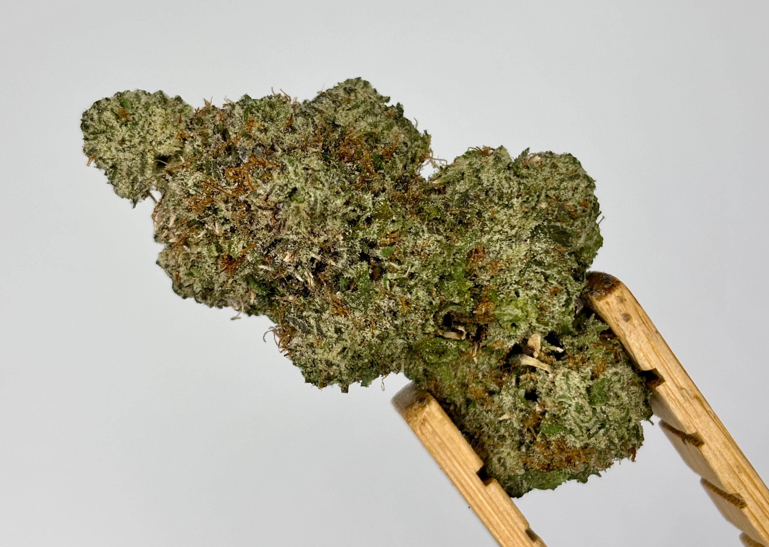 Photograph of product: BOWHOUSE | Project Z | Bulk Flower | Platinum Tier - 28g