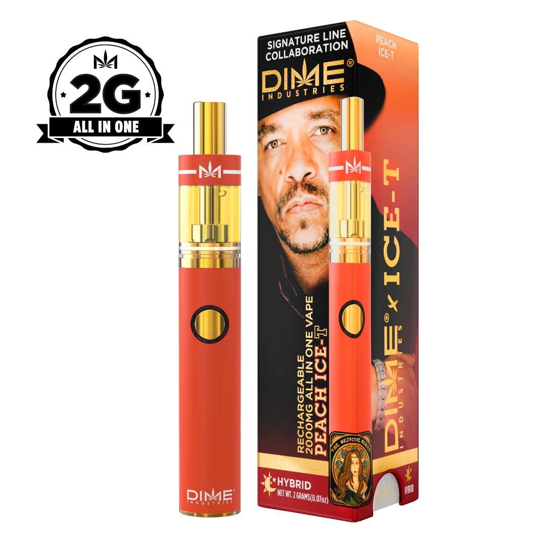 Photograph of product: DIME  | Peach Ice-T | 2G AIO Disposable