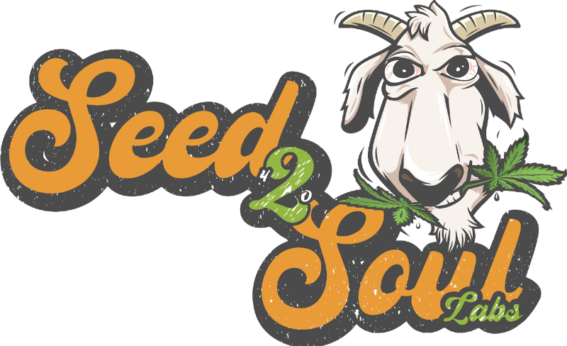 Photograph of product: Seed2Soul Fruit Punch Energy 200mg Gummy (10pk)