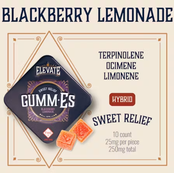 Photograph of product: 250mg Gummies | Blackberry Lemonade (Hybrid)