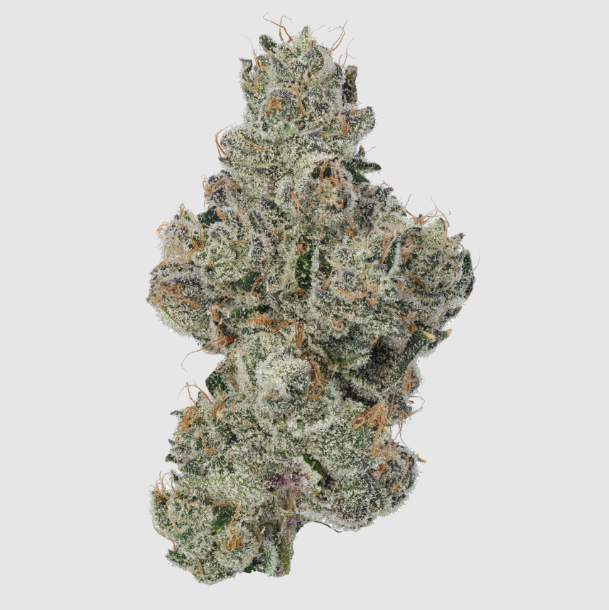 Photograph of product: Bananaconda (B) - 14g