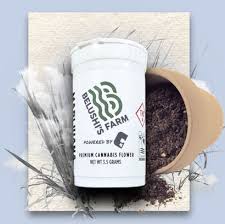 Photograph of product: Belushi's Farm Hashburger Hash Infused 5pk Pre-rolls | 2.5g