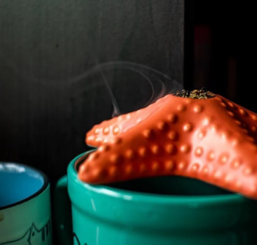 Photograph of product: Starfish Pipe