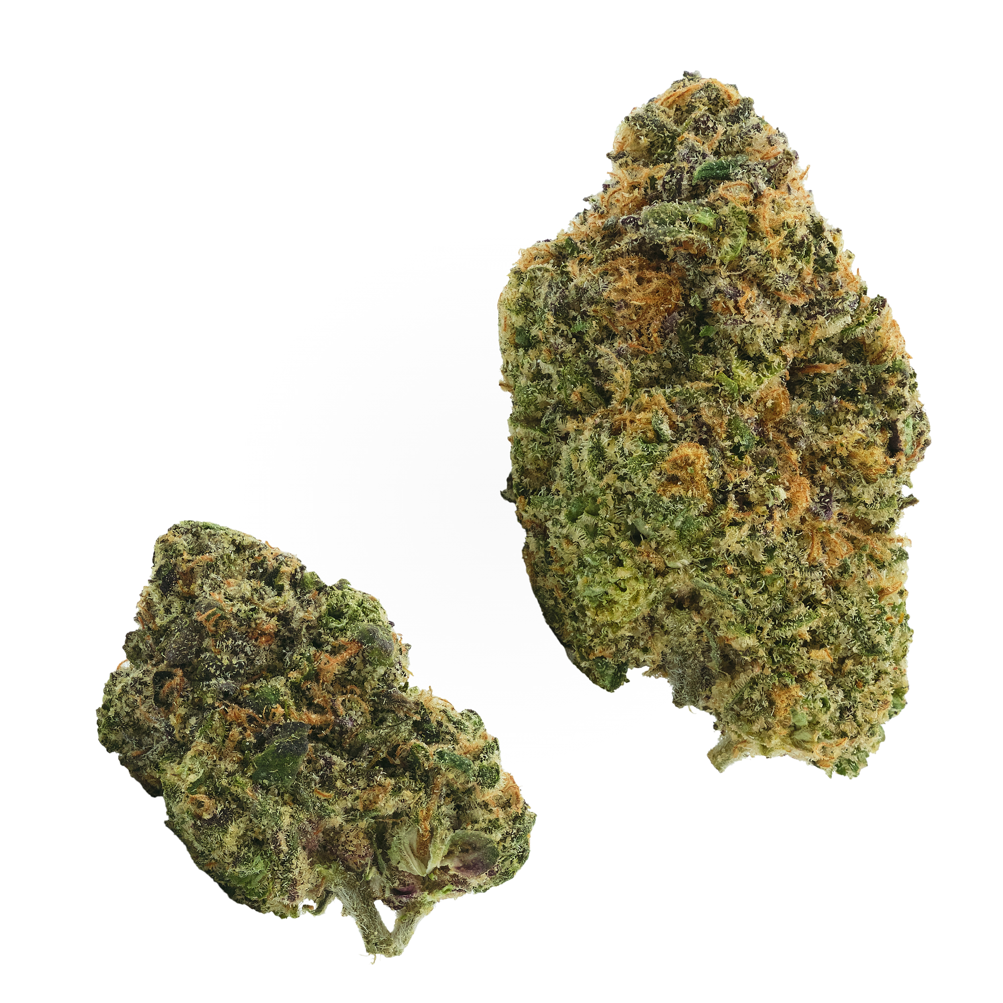 Photograph of product: Kandy Fritterz - 28g