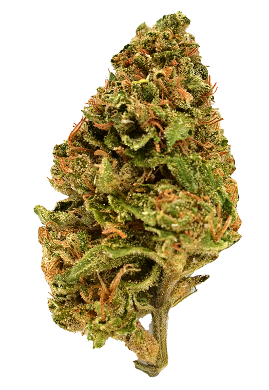 Photograph of product: Phoenix Gardens | Mimosa Punch | 14G