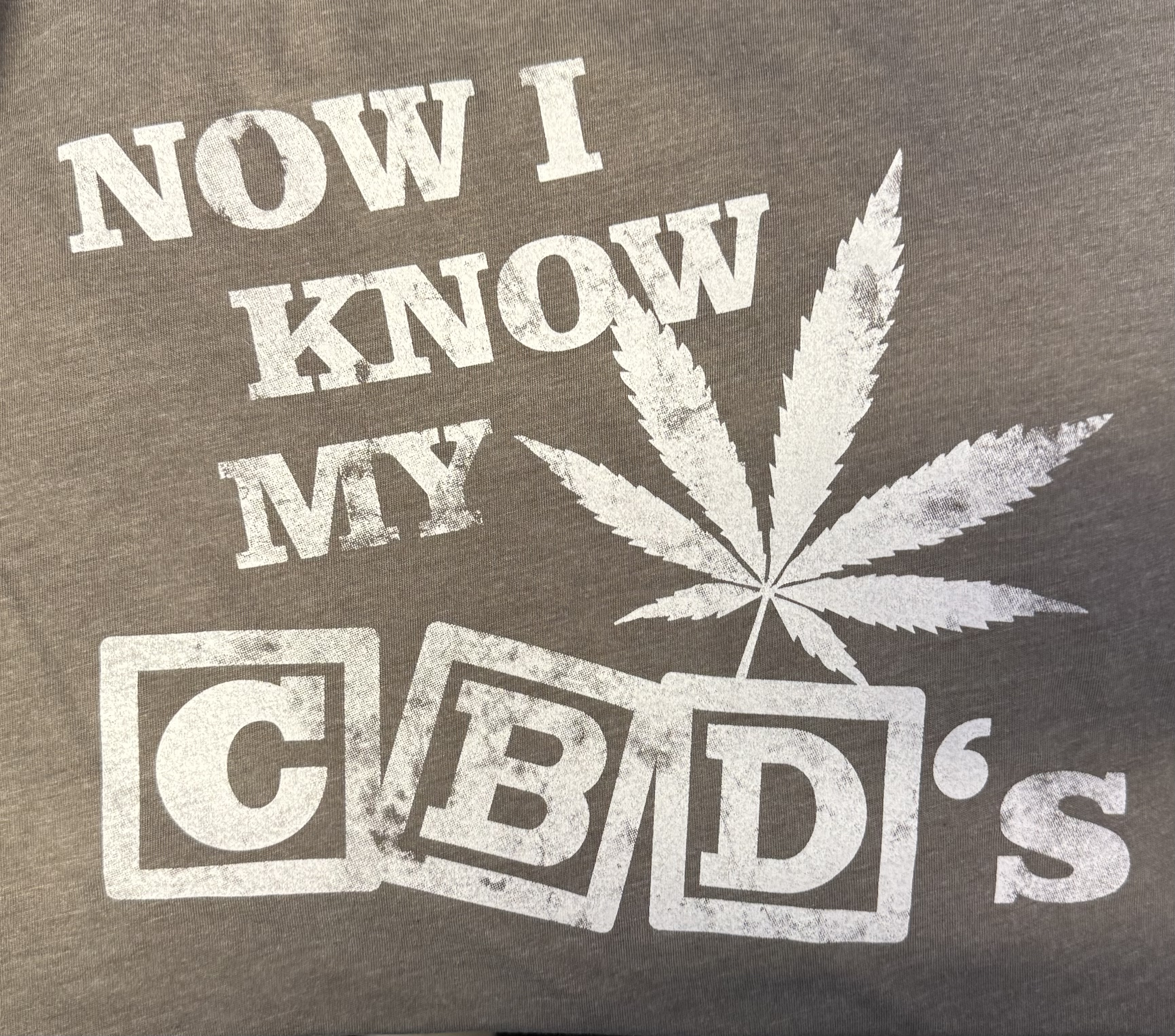 Photograph of product: T-SHIRT NOW I KNOW MY CBD'S GRAY SMALL