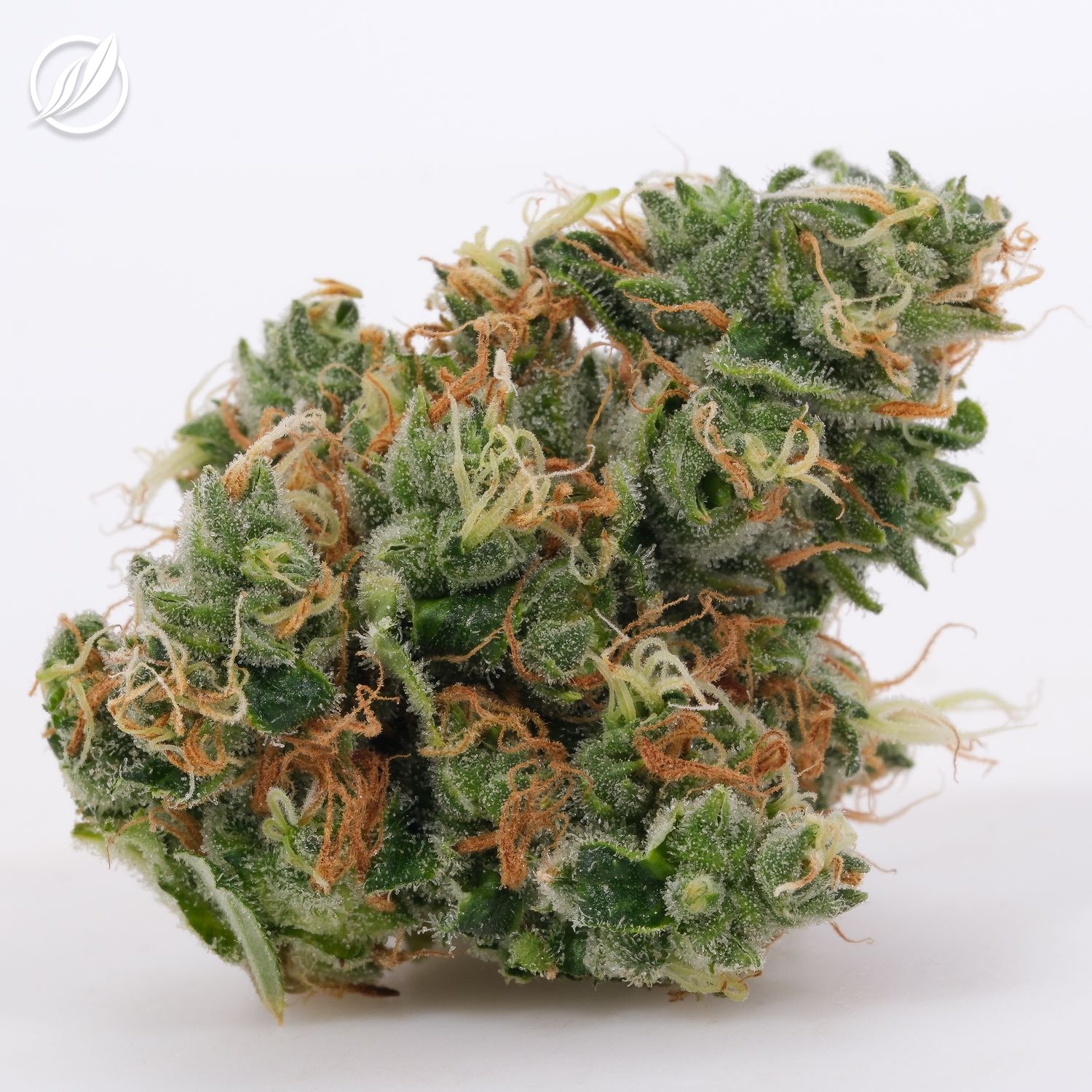 Photograph of product: Savvy  Sour Sunrise Small Flower 18.35% (S) 7g 25554