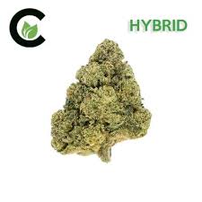 Photograph of product: Cultivate | Toxic Cookies - 14g
